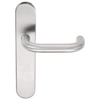 Basics LB1-19P13 Satin Stainless steel Lever Handle on Plate