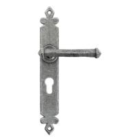 From the Anvil Tudor Lever on Euro Cylinder Plate