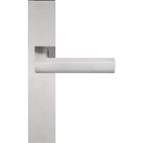 PBL23P236 brushed stainless steel lever handle on plate