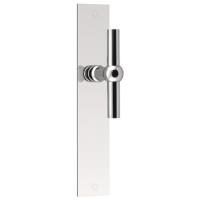 FVT110P236 stainless steel lever handle on plate